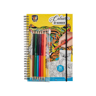 Load image into Gallery viewer, Kleuren op Nummer Kleurboek met Kleurpotloden.