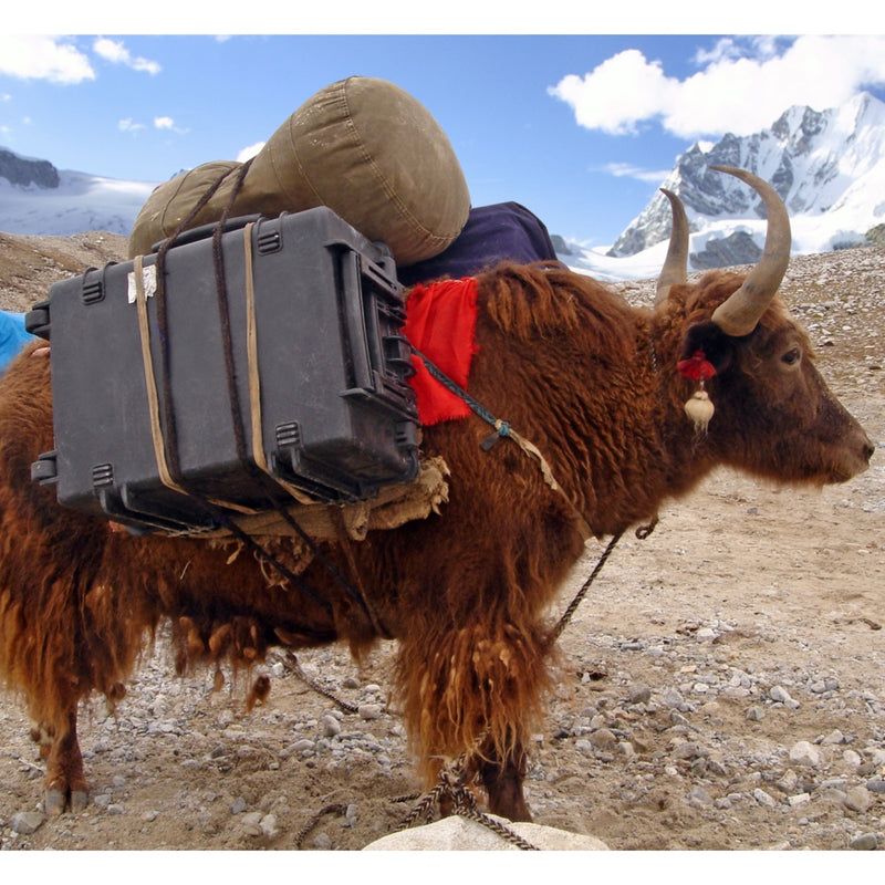 Load image into Gallery viewer, Explorer cases 2712hl koffer zwart met plukschuim