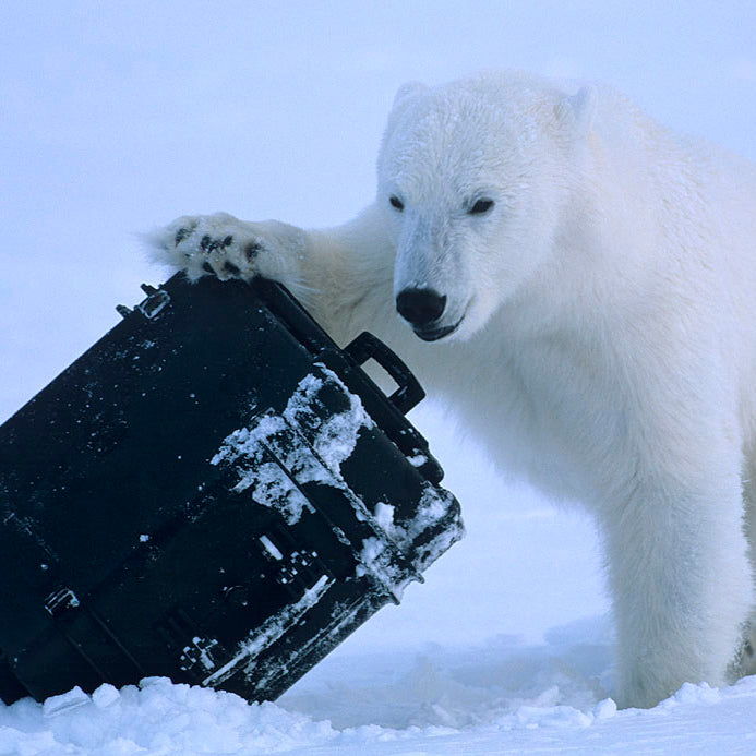 Load image into Gallery viewer, Explorer Cases 9433 Koffer Zwart met Plukschuim