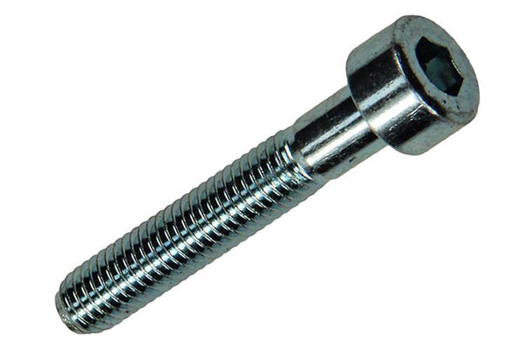 Load image into Gallery viewer, Mack 1017647 - binnenzeskant bout cyl.kop verz. 8 st m5 x 30 mm | 10 stuks