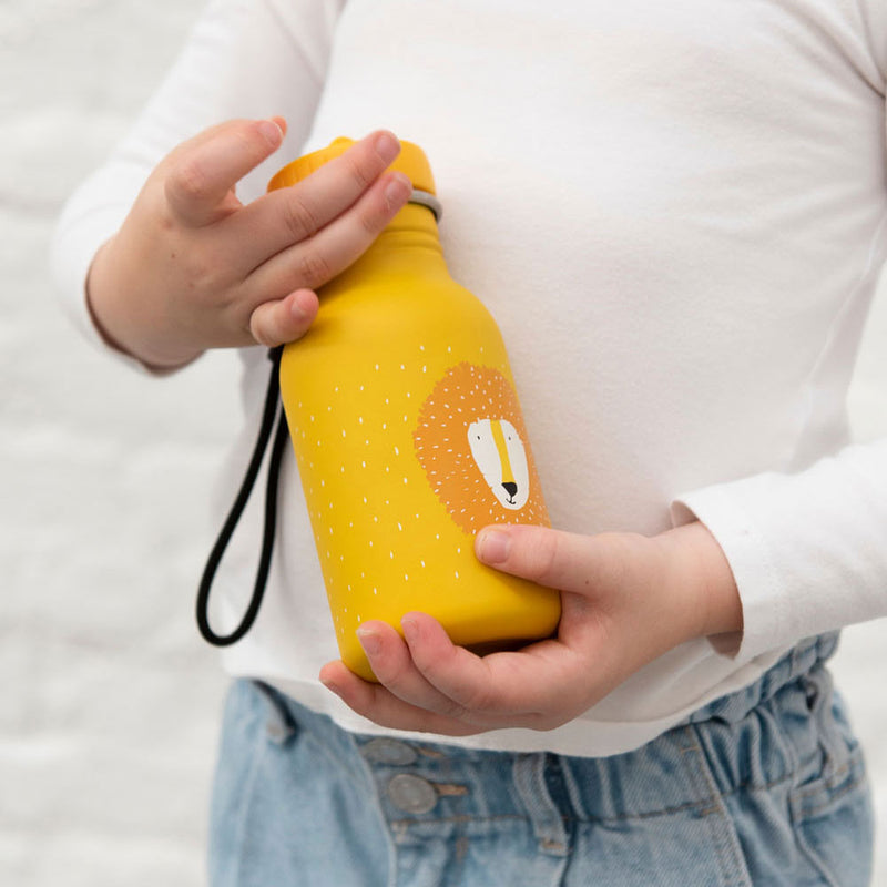 Load image into Gallery viewer, Trixie Drinkfles Mr. Lion, 350ml