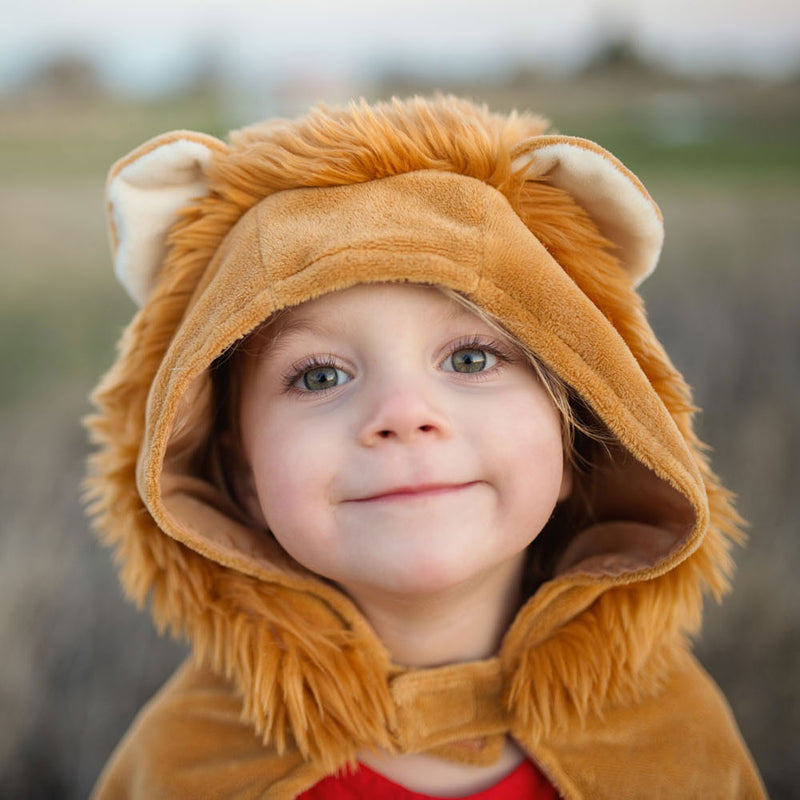Load image into Gallery viewer, Great pretenders cape leeuw, 2-3 jaar