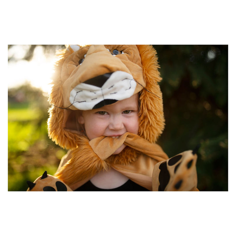 Load image into Gallery viewer, Great pretenders cape storybook leeuw, 4-6 jaar