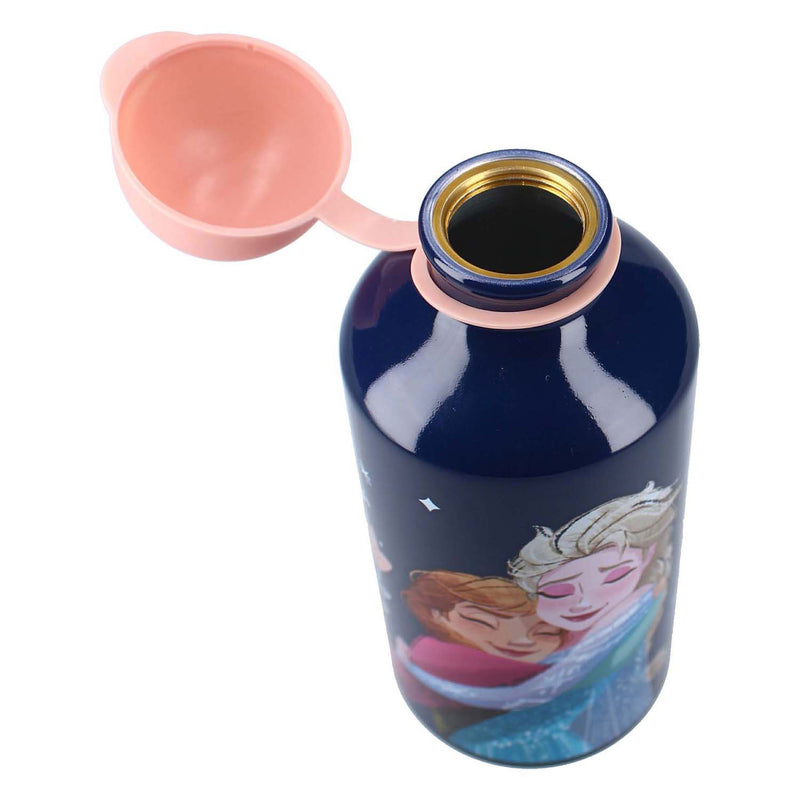 Load image into Gallery viewer, Vadobag drinkfles frozen ii really refreshing - 500ml