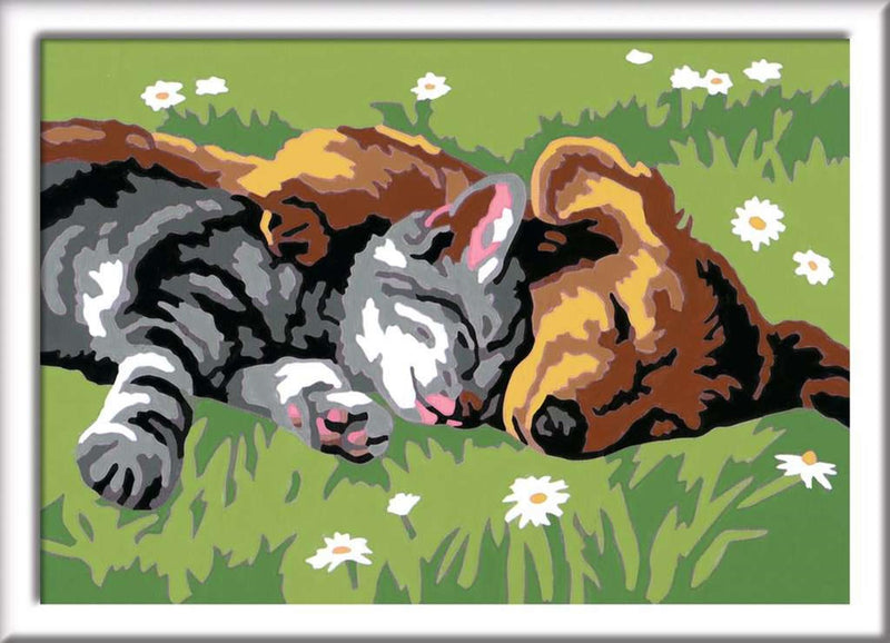 Load image into Gallery viewer, Ravensburger creart sleeping cats dogs