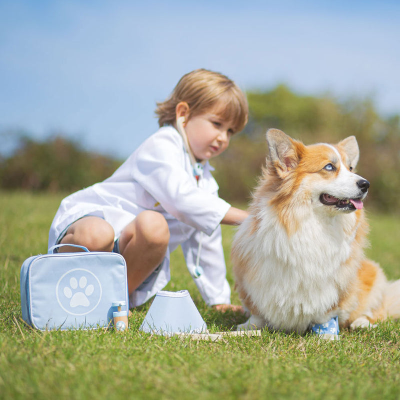 Load image into Gallery viewer, Bigjigs dierendokter koffer