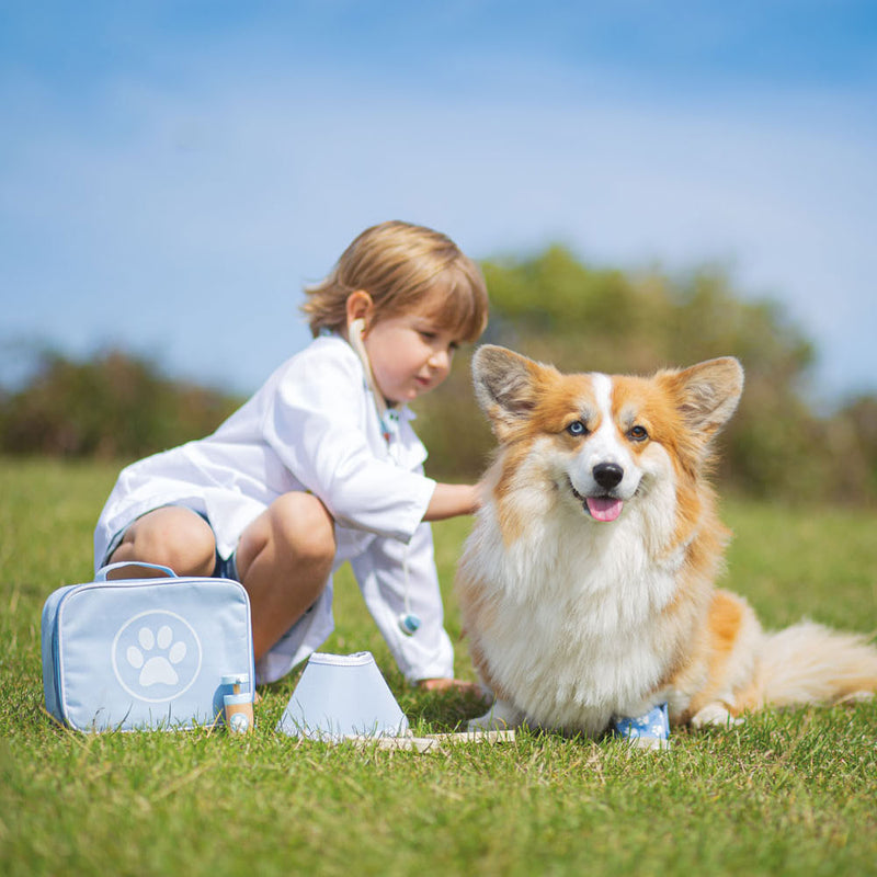 Load image into Gallery viewer, Bigjigs dierendokter koffer