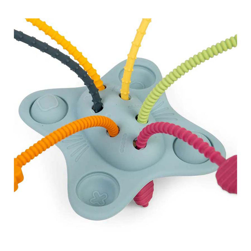 Load image into Gallery viewer, Bigjigs trek en duw montessori speelgoed