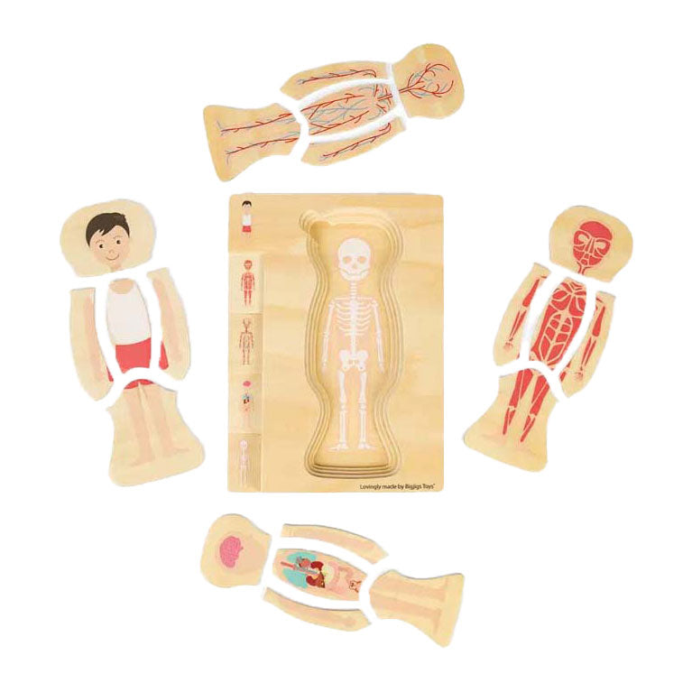 Load image into Gallery viewer, Bigjigs houten anatomiepuzzel - jongen, 26st.