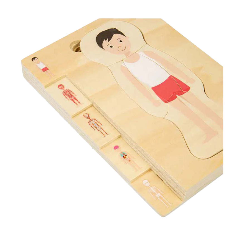Load image into Gallery viewer, Bigjigs houten anatomiepuzzel - jongen, 26st.