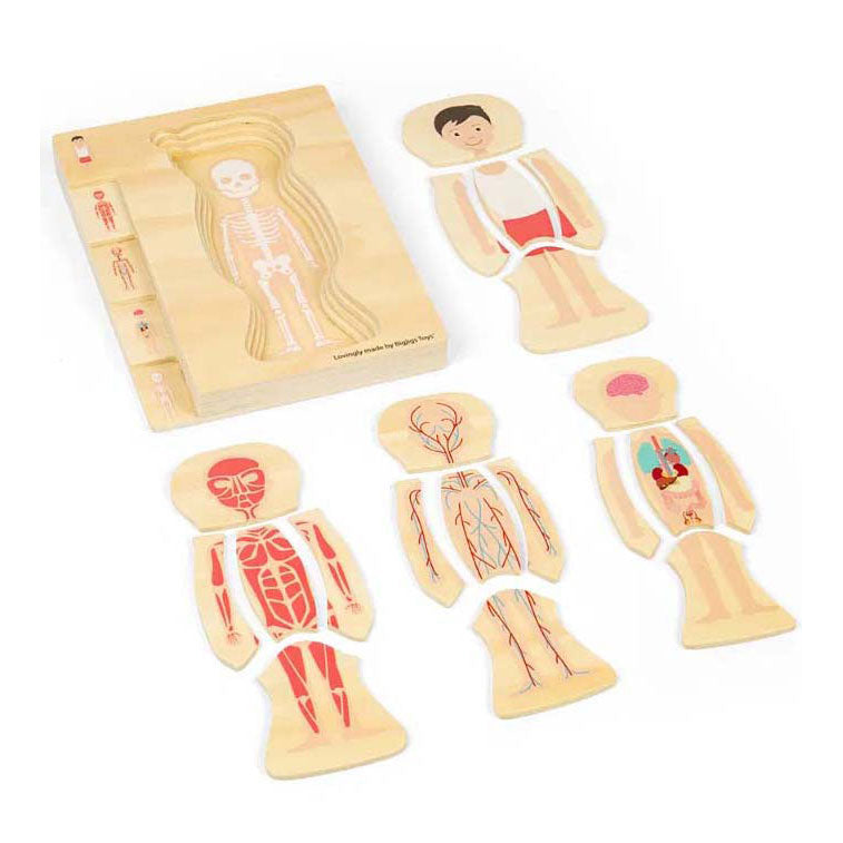 Load image into Gallery viewer, Bigjigs houten anatomiepuzzel - jongen, 26st.