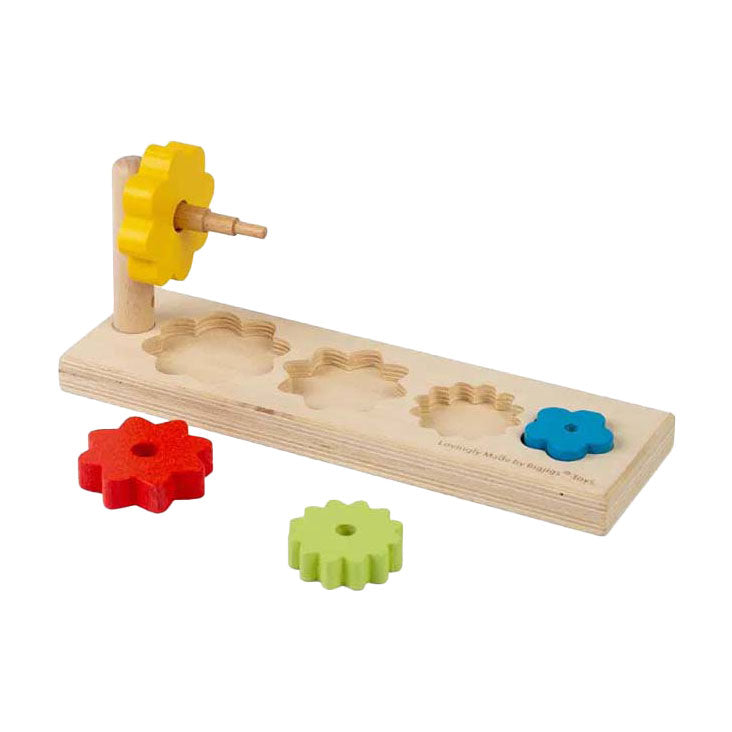 Load image into Gallery viewer, Bigjigs bloemensorteerder, 5dlg.