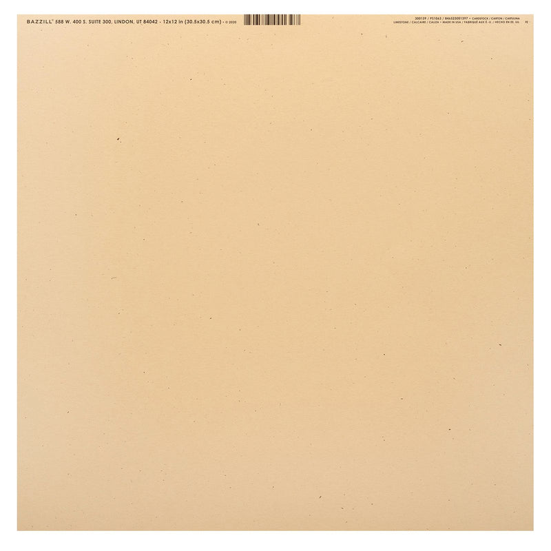 Load image into Gallery viewer, Bazzill • speckle cardstock 30,5x30,5cm limestone