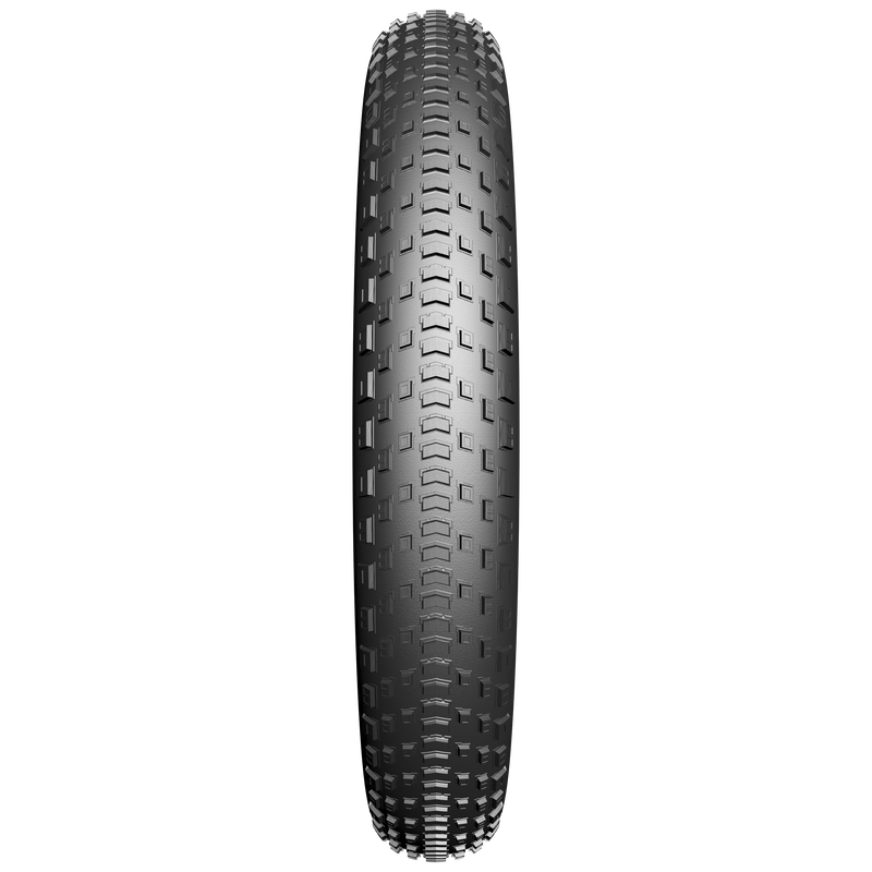 Load image into Gallery viewer, Edge buitenband fatbike fat bst protect 20 x 4.00 100-406mm - zwart
