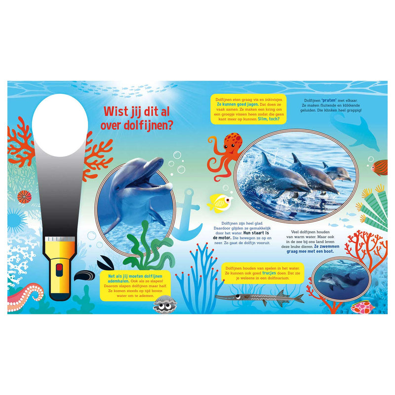 Load image into Gallery viewer, Speuren naar dolfijnen + kartonnen zaklamp