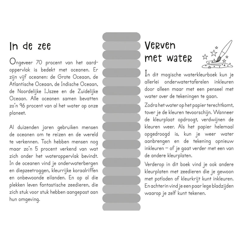 Load image into Gallery viewer, Magisch waterkleurboek In de zee