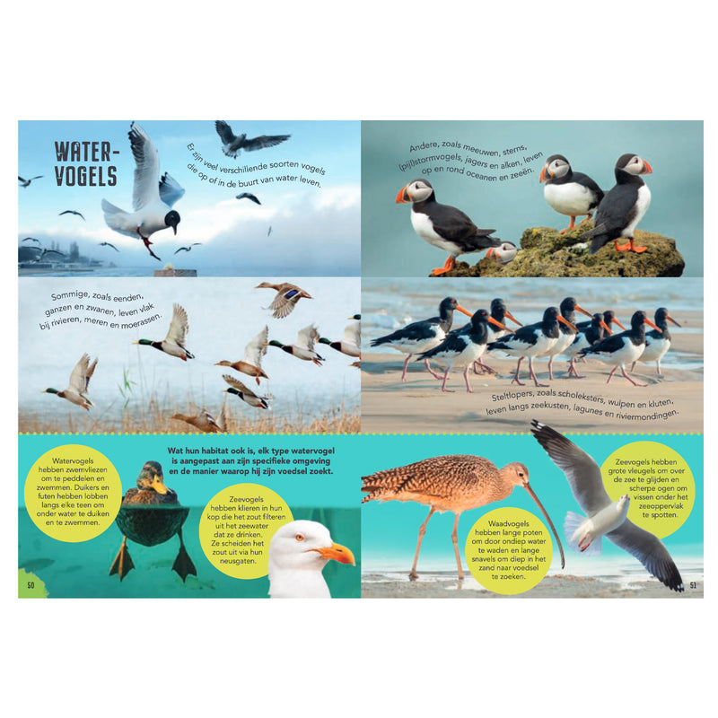 Load image into Gallery viewer, Rebo publishers vogels - gids en natuurdagboek voor kinderen