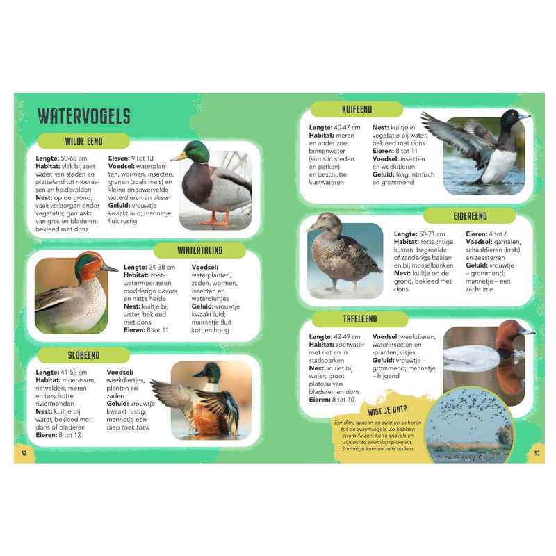 Load image into Gallery viewer, Rebo publishers vogels - gids en natuurdagboek voor kinderen