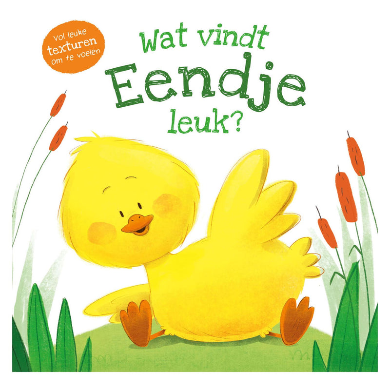 Afbeelding laden in galerijviewer, Rebo publishers voelboek - wat vindt eendje leuk?