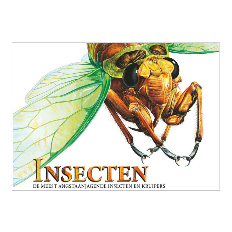 Load image into Gallery viewer, Rebo publishers boek over insecten, angstaanjagende wezens