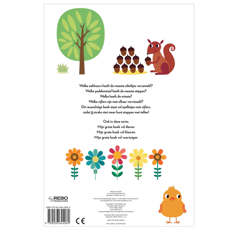 Load image into Gallery viewer, Rebo publishers mijn grote boek vol cijfers