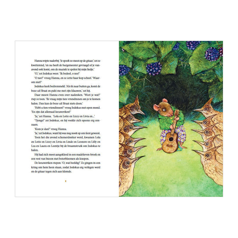 Load image into Gallery viewer, Gottmer uitgevers groep de gouden gitaar