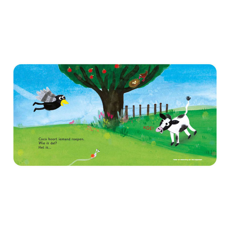 Load image into Gallery viewer, Gottmer uitgevers groep kartonboek: coco in de wei 1+