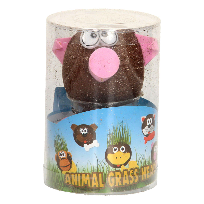 Load image into Gallery viewer, Toys amsterdam grasvriendjes varken junior 12,5 cm vilt bruin