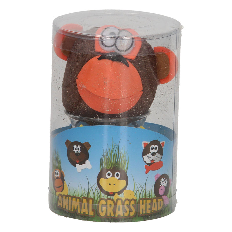Load image into Gallery viewer, Toys amsterdam grasvriendjes varken junior 12,5 cm vilt bruin