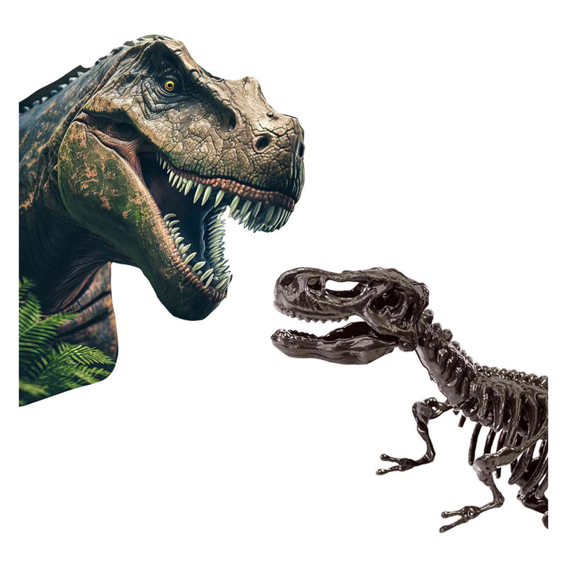 Load image into Gallery viewer, Ses explore dino en skelet opgraven 2in1 - t-rex