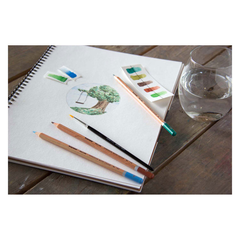 Load image into Gallery viewer, Bruynzeel expression aquarelpotloden blik 36