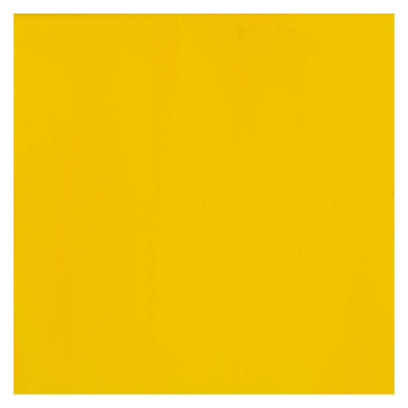 Load image into Gallery viewer, Bruynzeel ecola plakkaatverf fles 16ml geel 200