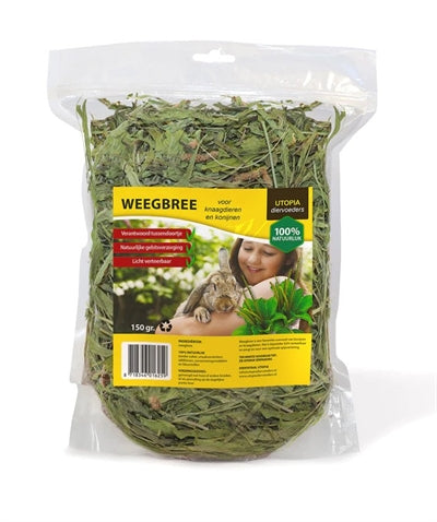 Load image into Gallery viewer, Utopia Weegbree