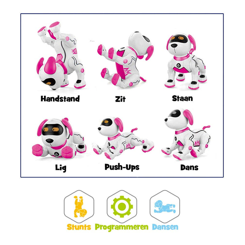 Load image into Gallery viewer, Gear2Play Robo Zoe