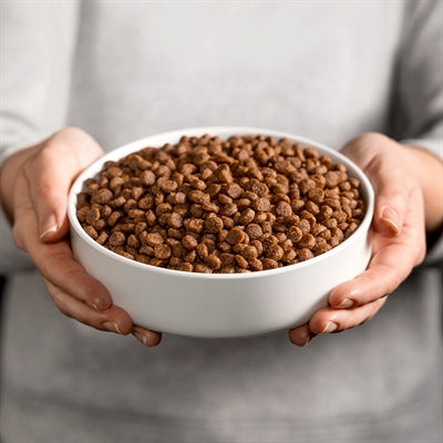 Load image into Gallery viewer, Smolke Puppy mini medium brokken