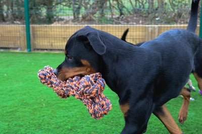 Load image into Gallery viewer, Happy pet nuts for knots extreme bot grijs oranje