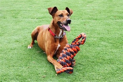 Load image into Gallery viewer, Happy pet nuts for knots extreme spoel 8 vorm tugger grijs oranje