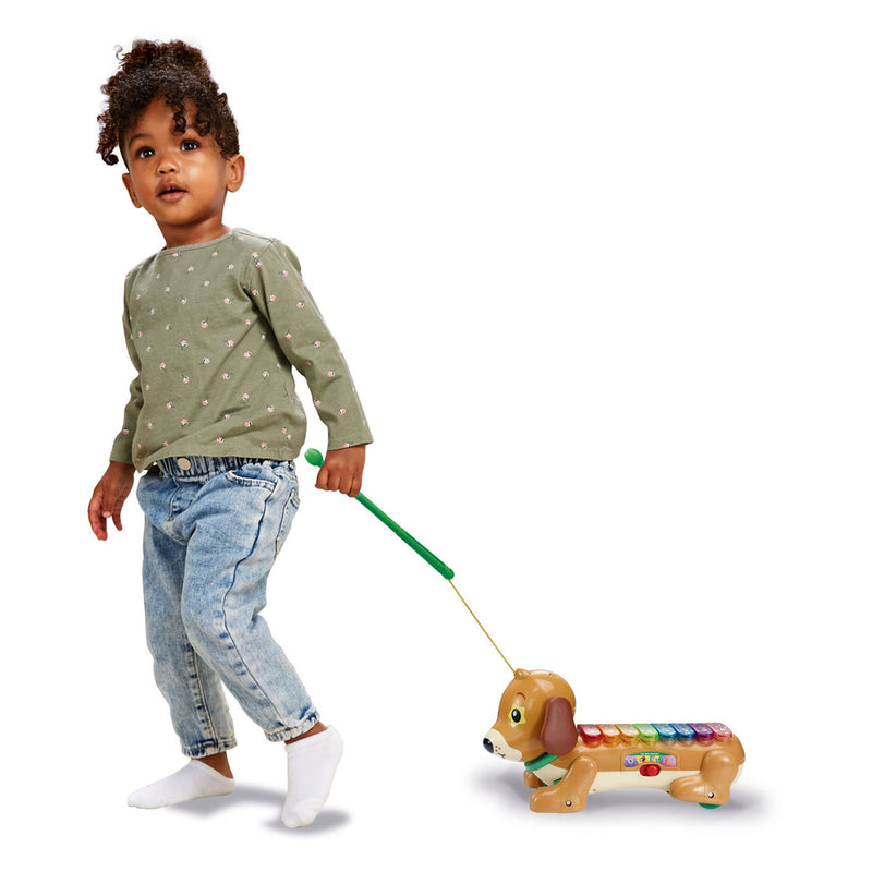 Load image into Gallery viewer, Vtech timmie teckel xylofoon