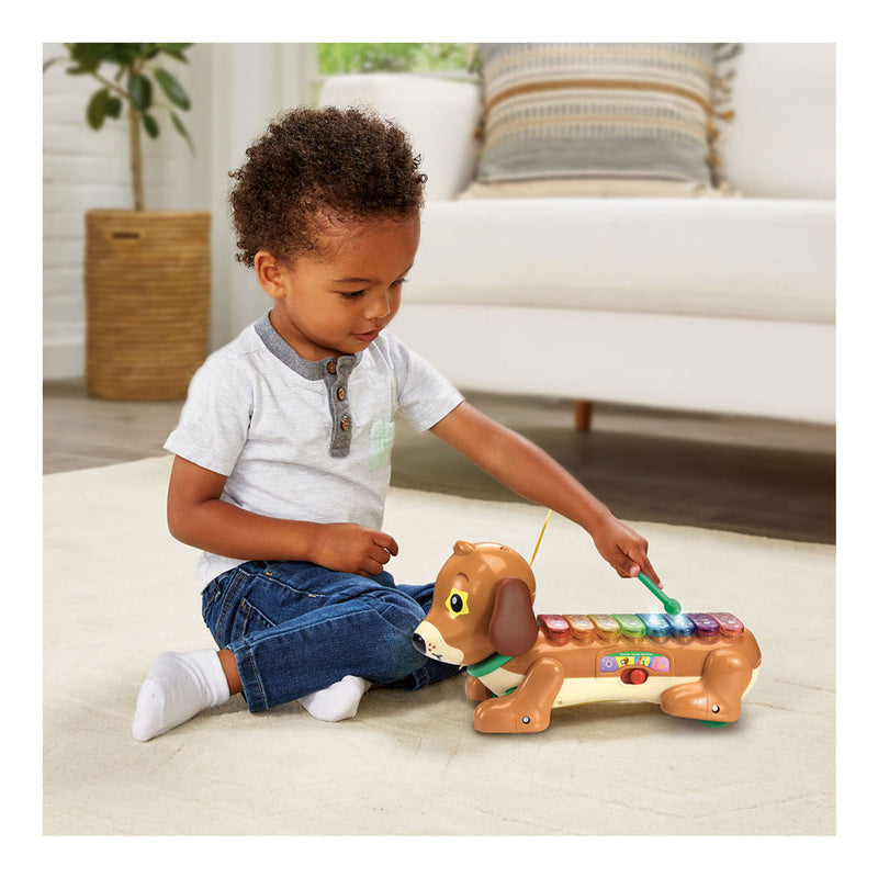 Load image into Gallery viewer, Vtech timmie teckel xylofoon