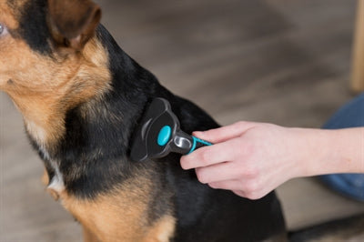 Load image into Gallery viewer, Trixie carding vachtkam ontvilten uitdunnen