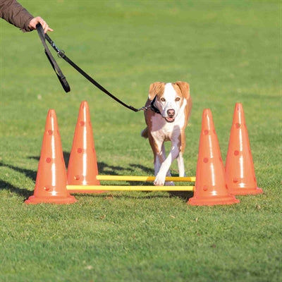 Load image into Gallery viewer, Trixie dog activity hordenset