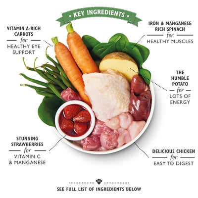 Load image into Gallery viewer, Lily's kitchen Dog an english garden party