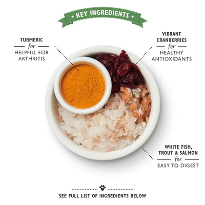 Load image into Gallery viewer, Lily's kitchen Cat senior fish turkey recipe