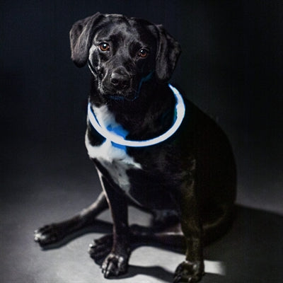 Load image into Gallery viewer, Merkloos sans marque trixie lichtgevende halsband usb flash light oplaadbaar tpu blauw