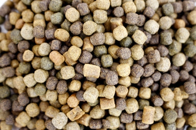 Load image into Gallery viewer, Utopia Diertotaal koi voer