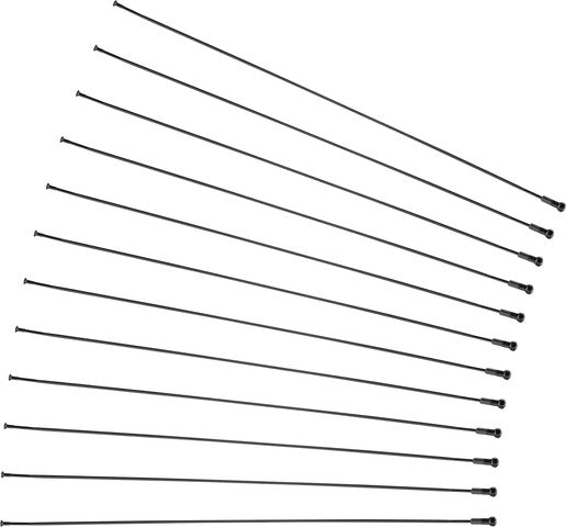 Load image into Gallery viewer, Mavic xa pro carbon 29 spare spokes - 2017-2018