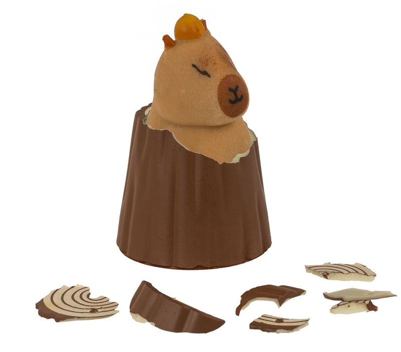 Load image into Gallery viewer, Dsp groei capybara. 12 stuks in display.