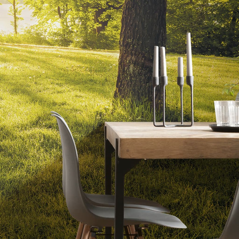 Load image into Gallery viewer, Komar komar fotobehang golden moment 400x250 cm