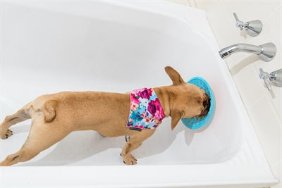 Load image into Gallery viewer, Lickimat Splash turquoise