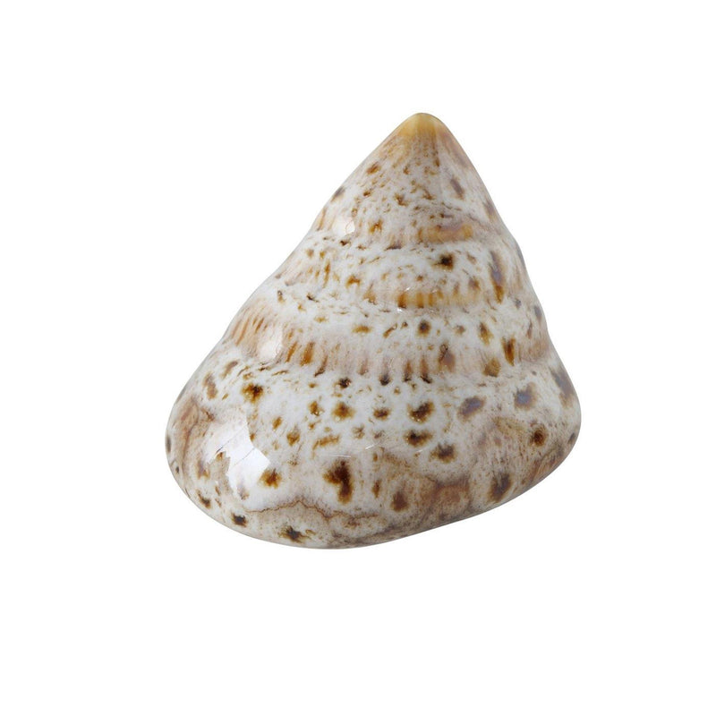 Load image into Gallery viewer, Boltze home decoratieve schelp 7x6x4cm beige bruin 4 assorti